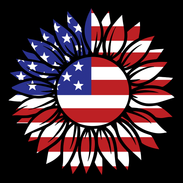 usa sunflower flag 2