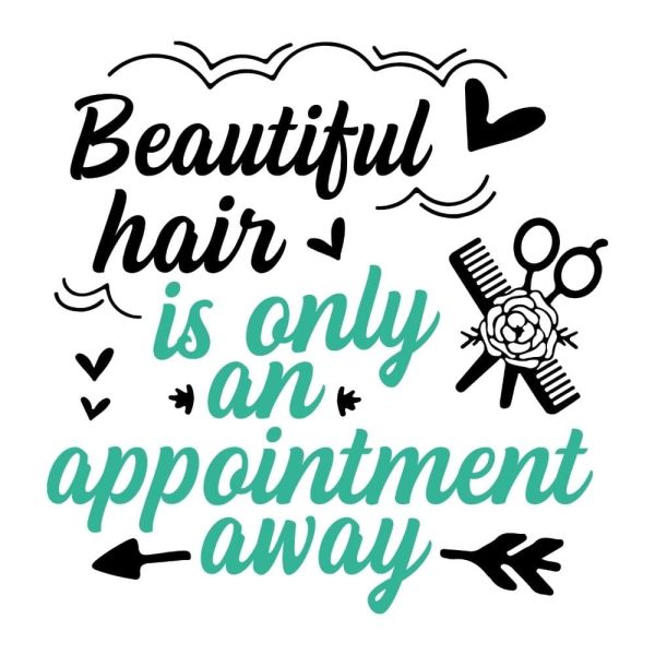 Beautiful Hair Is Only An Appointment Away