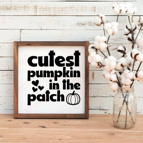 Cutest Pumpkin In The Patch 5 1