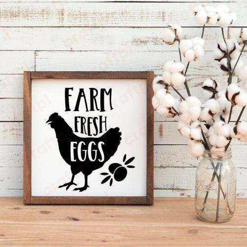 Farm Freh Eggs5