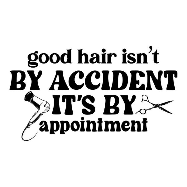 Good Hair Isnt by Accident Its by Appointment