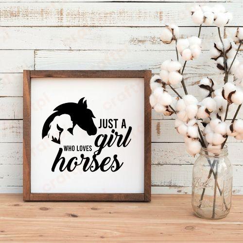 Just a Girl Who Loves Horses5