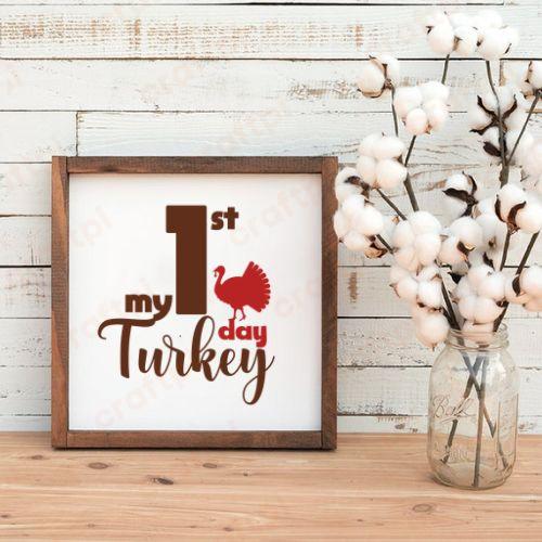 My 1st Turkey Day 5