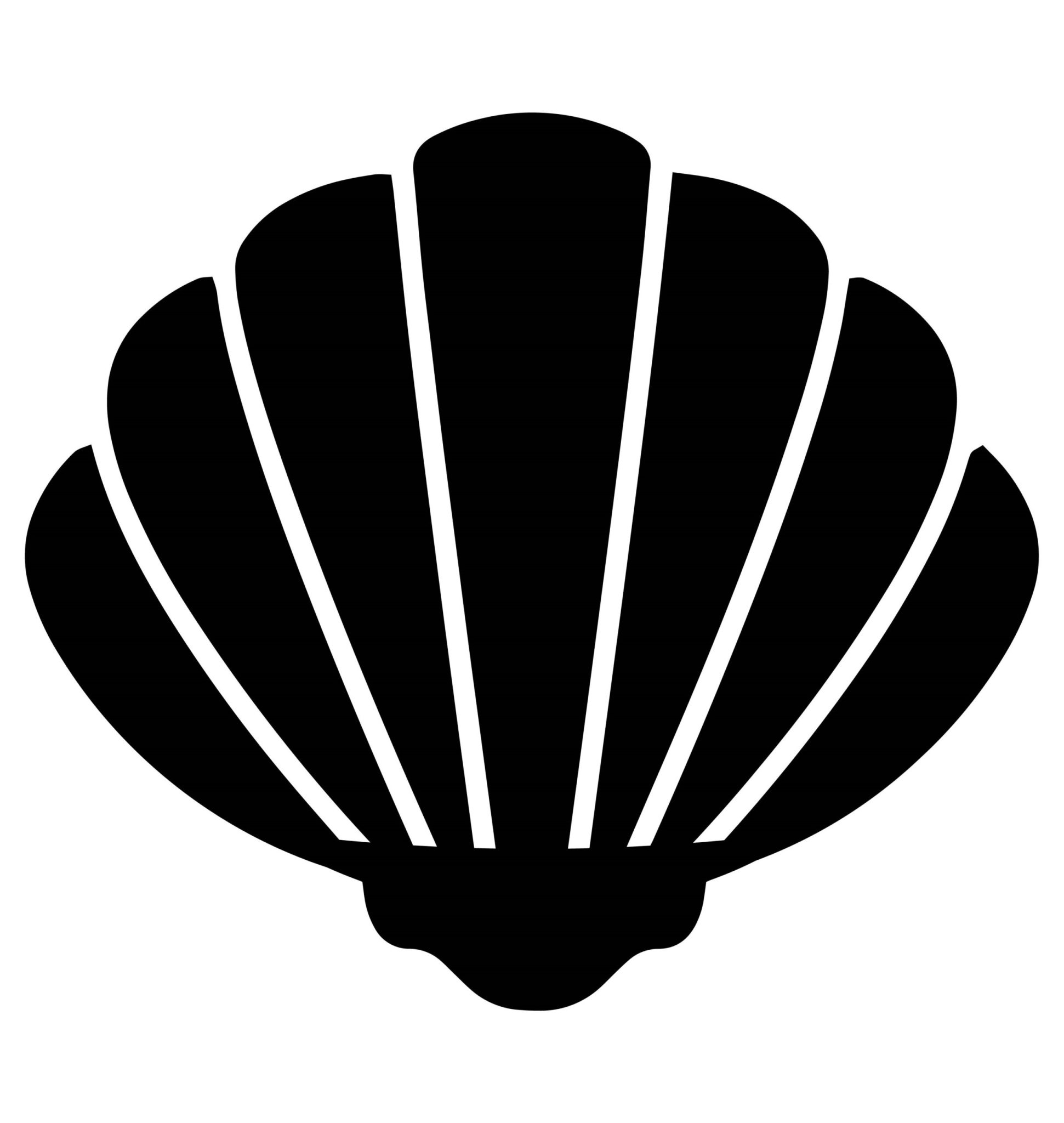 Seashell Wide SVG, PNG, JPG, PSD, DXF Files | Craftpi