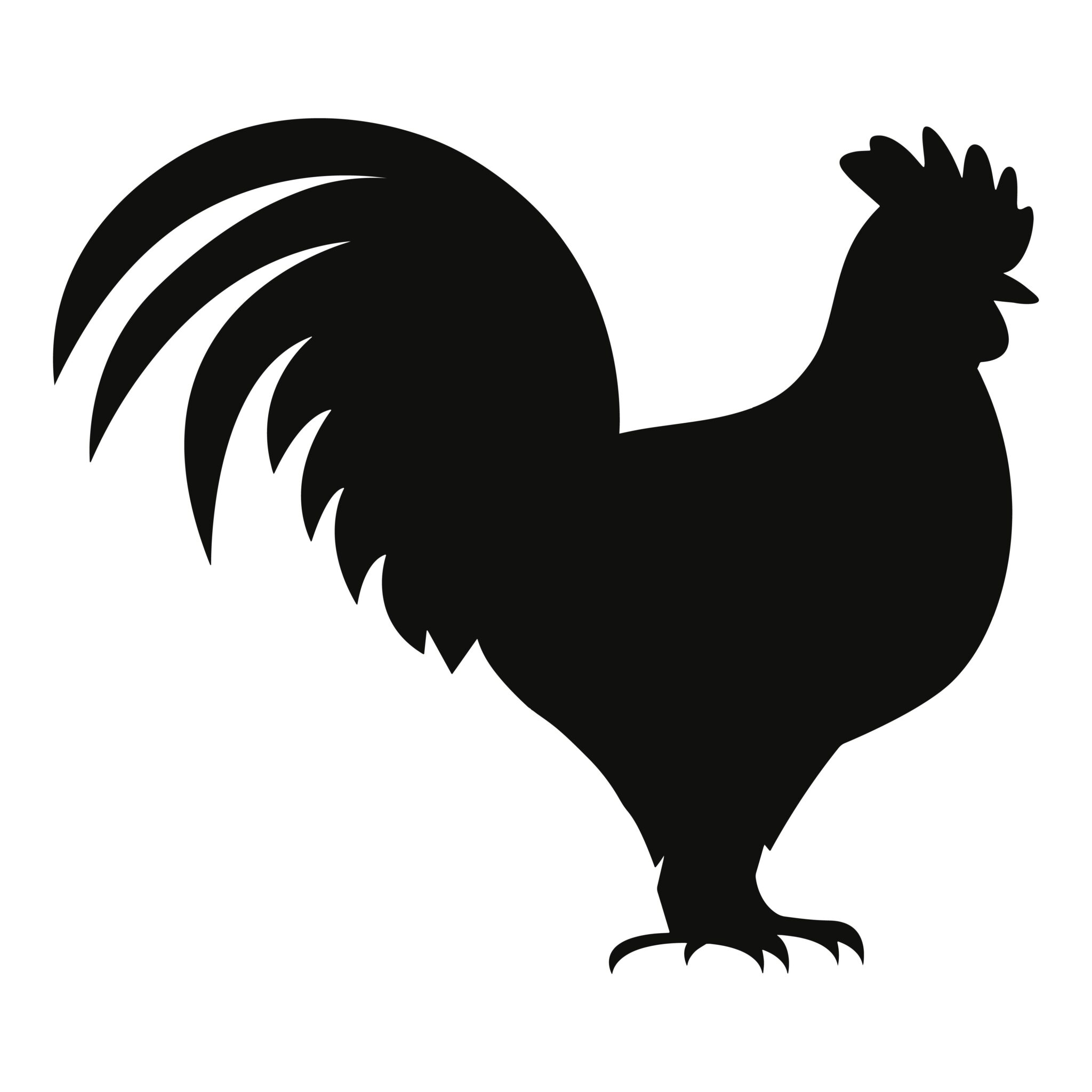 Floral Rooster & Cock SVG, PNG, JPG, PSD, DXF Files | Craftpi