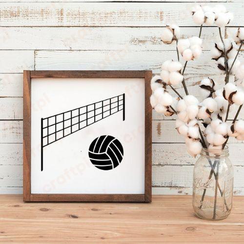 Volleyball Net and Ball 5