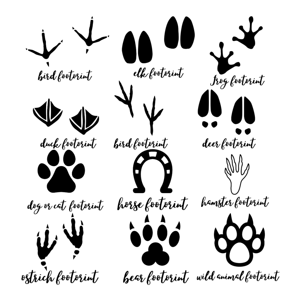 Animal Tracks & Footprints SVG, PNG, JPG, PSD, DXF Files | Craftpi