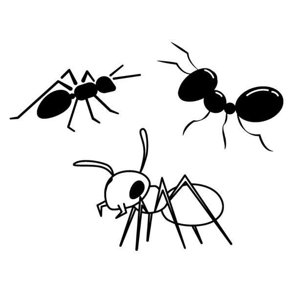 ant bundle svg ur1270m1