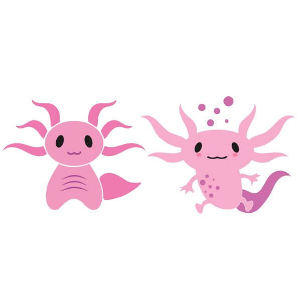 axolotl amphibians svg designs u3489r4482m1 scaled