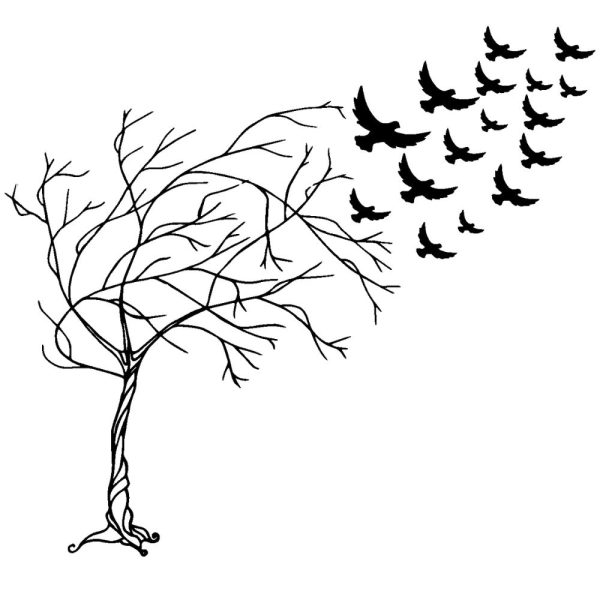 bare tree with birds u491r681m1