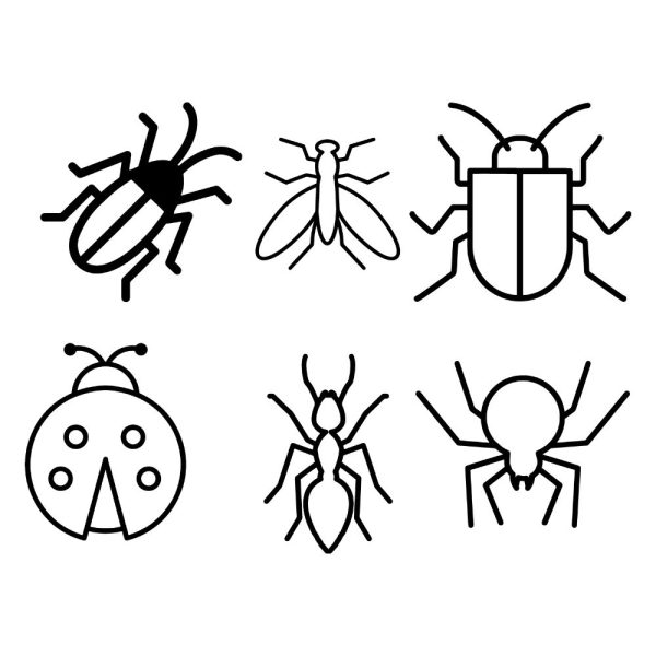 basic insect bundle svg ur1272m1