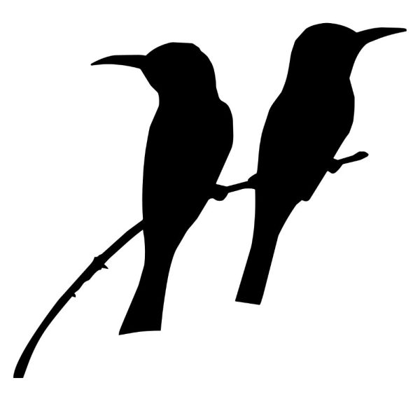 birds silhouette svg ur1372m1