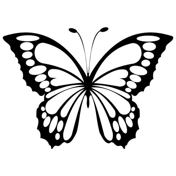 black butterfly svg svg ur1652m1