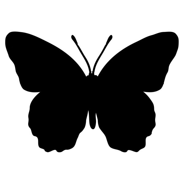 black butterfly svg ur1569m1 1 scaled