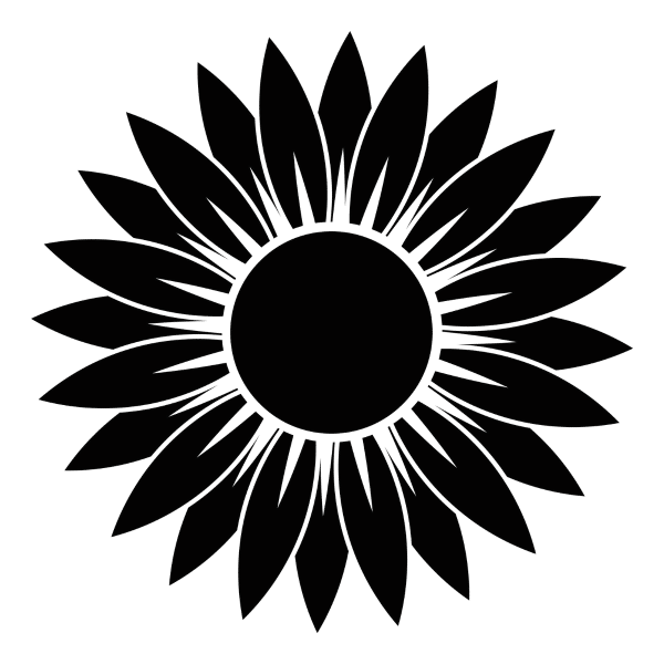 black sunflower