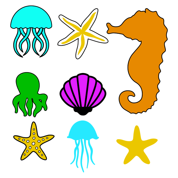 colorful sea creatures and animals