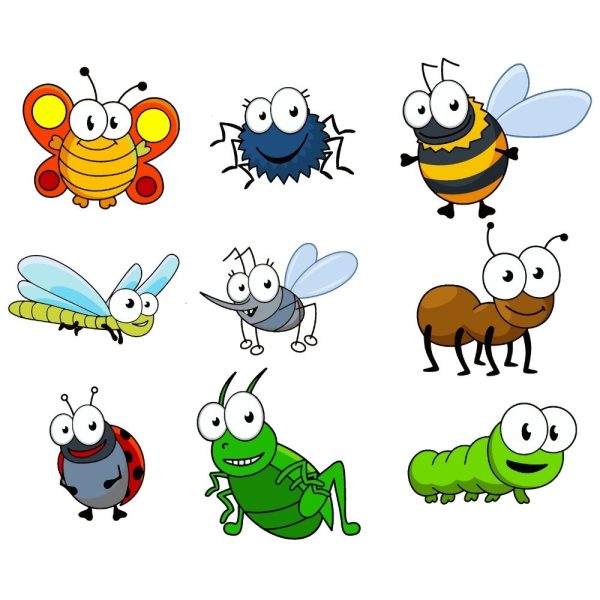 cute insects bundle svg ur1266m1