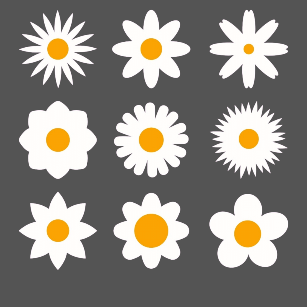 Daisy Flower Bundle SVG, PNG, JPG, DXF, PSD Files | Craftpi