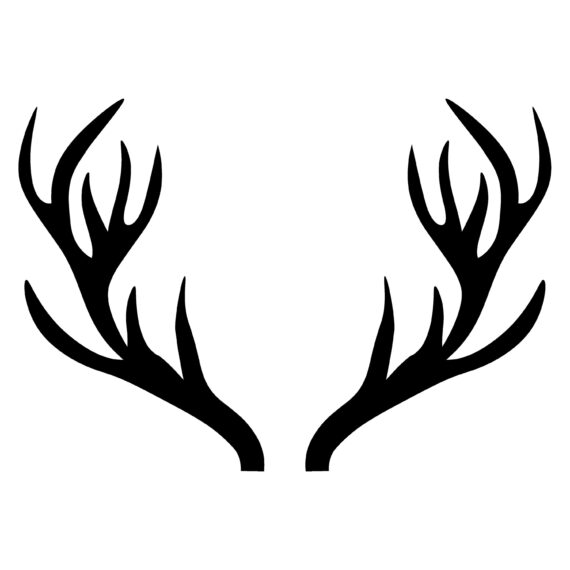 Deer Antler SVG PNG JPG PSD DXF Files Craftpi   Deer Antlers U452r711m1 570x570 