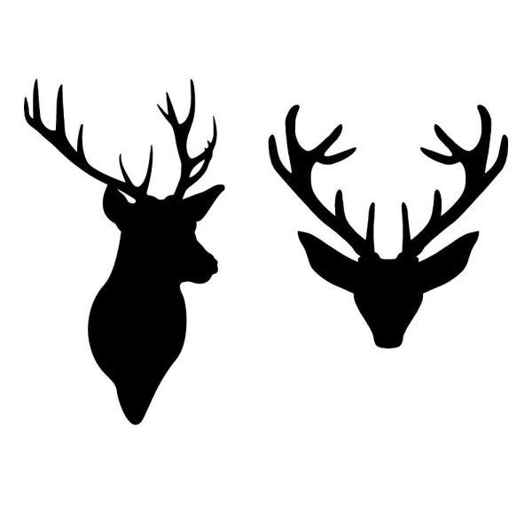 deer head u609r569m1