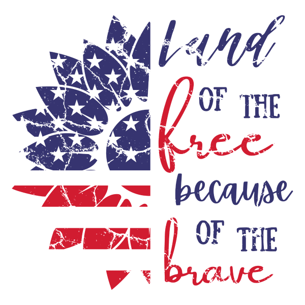 distressed land of the free because of the brave