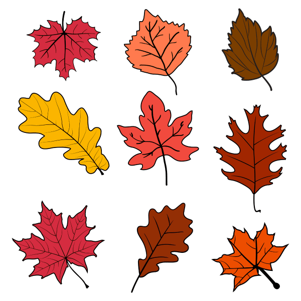 fall leaves bundle