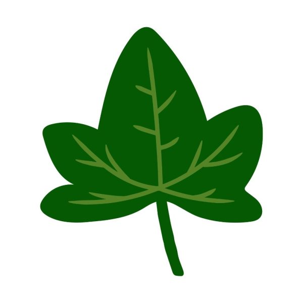 green ivy leaf svg svg ur1959m1