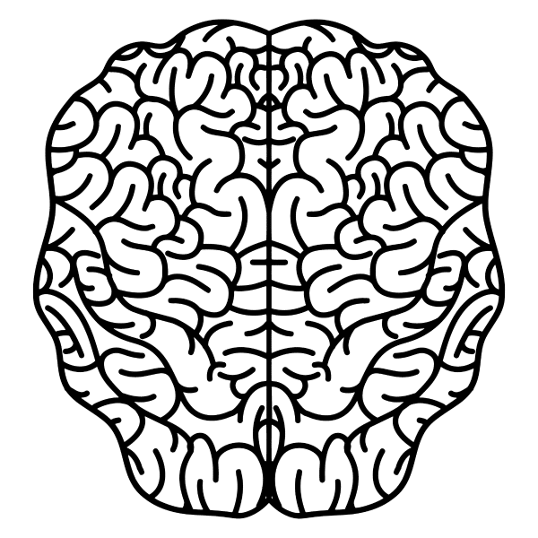 human brain outline