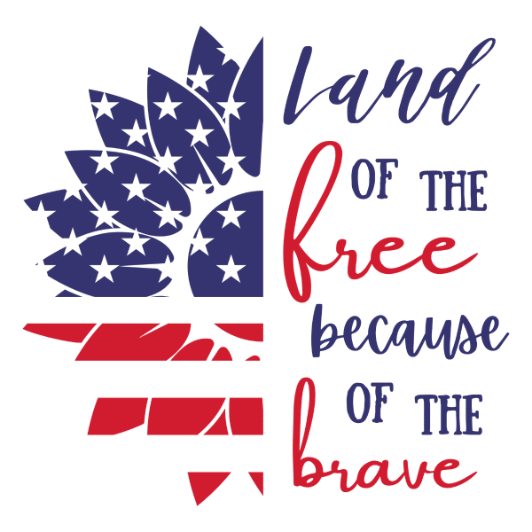 land of the free because of the brave