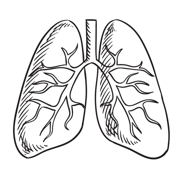 lung outline