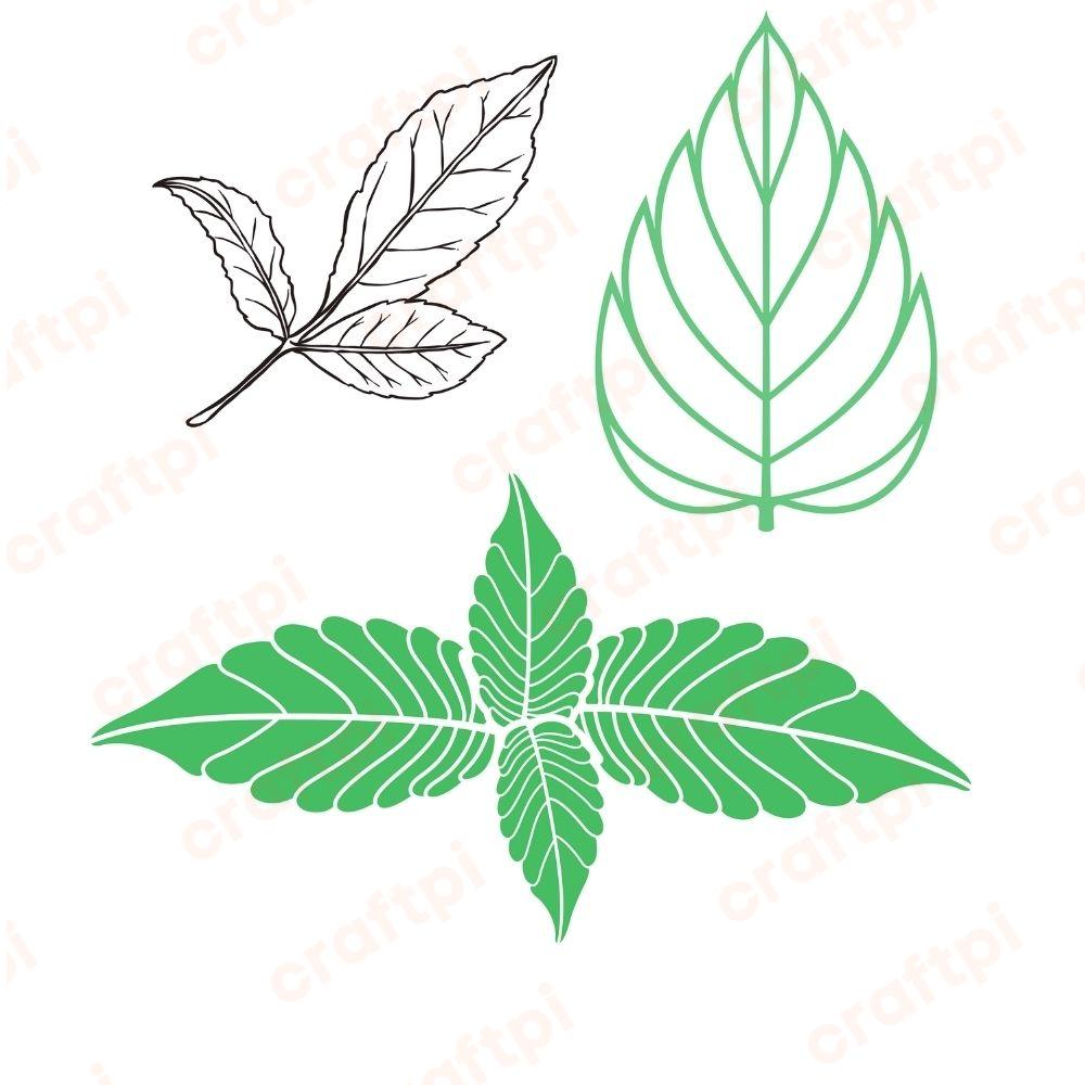 mint leaves u621r556m1