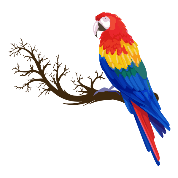 parrot over branch 1