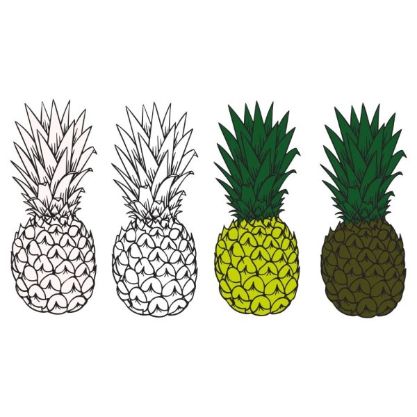 pineapple bundle svg ur1374m1