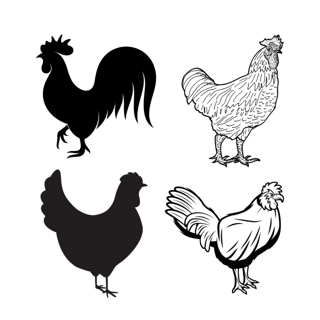 Roosters & Chicken Bundle SVG, PNG, JPG, PSD, DXF Files | Craftpi