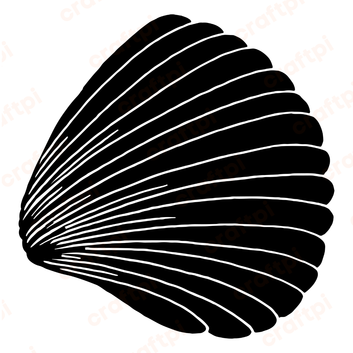 seashell vector