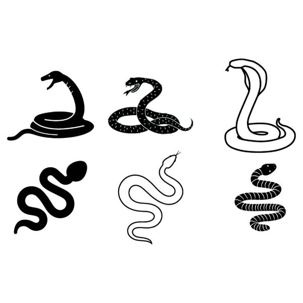 snakes clipart bundle svg ur1263m1