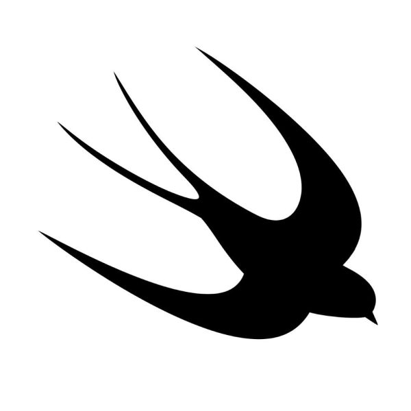 swallow bird u556r626m1