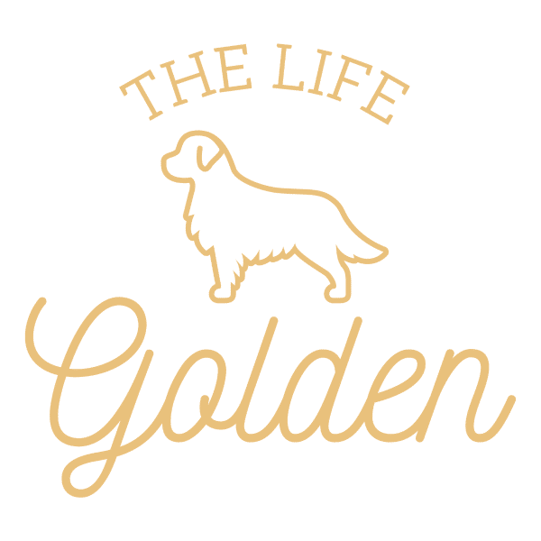 the life golden retriever