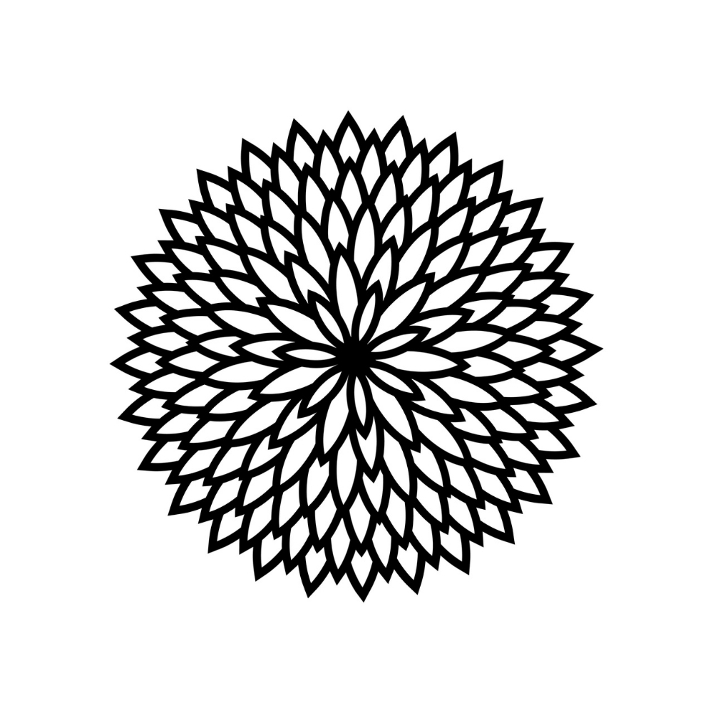 Chrysanthemum Flower Outline SVG, PNG, JPG, PSD, DXF Files | Craftpi