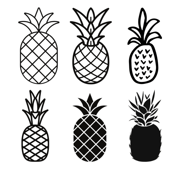 various pineapple bundle