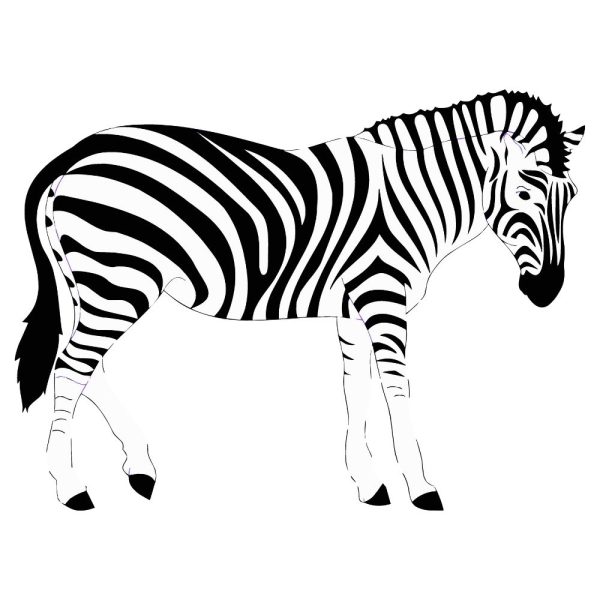 zebra svg ur1262m1