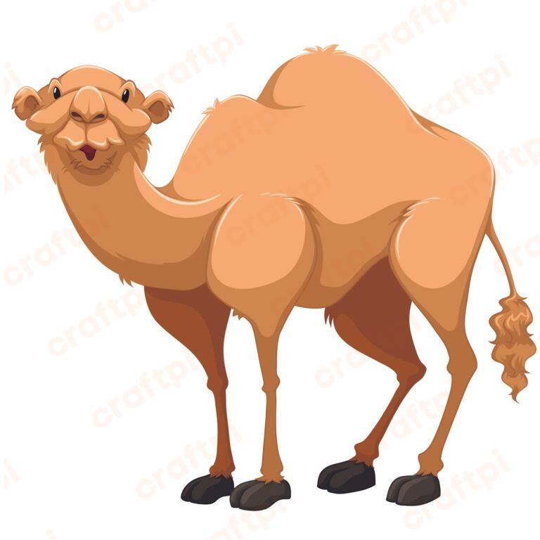Camel Cartoon SVG, PNG, JPG, PSD, PDF Files