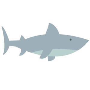 Cartoon Shark SVG, PNG, JPG, PSD, PDF Files