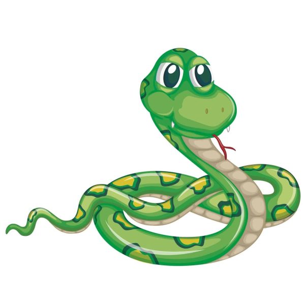 Snake Cartoon SVG, PNG, JPG, PSD, PDF Files