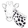 Giraffe Cartoon SVG, PNG, JPG, PSD, PDF Files