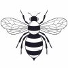 Queen Bee SVG, PNG, JPG, PSD, PDF Files