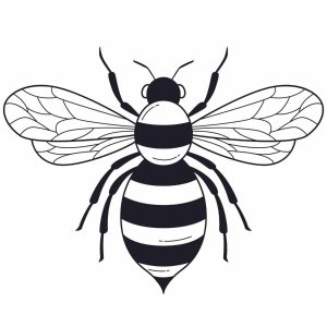 Queen Bee SVG, PNG, JPG, PSD, PDF Files