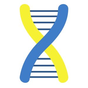 Down Syndrome Chromosome SVG, PNG, JPG, PDF Files
