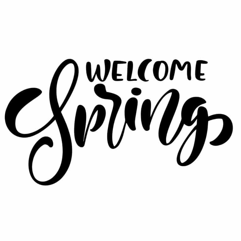 Handwritten Welcome Spring SVG, PNG, JPG, PDF Files | Craftpi
