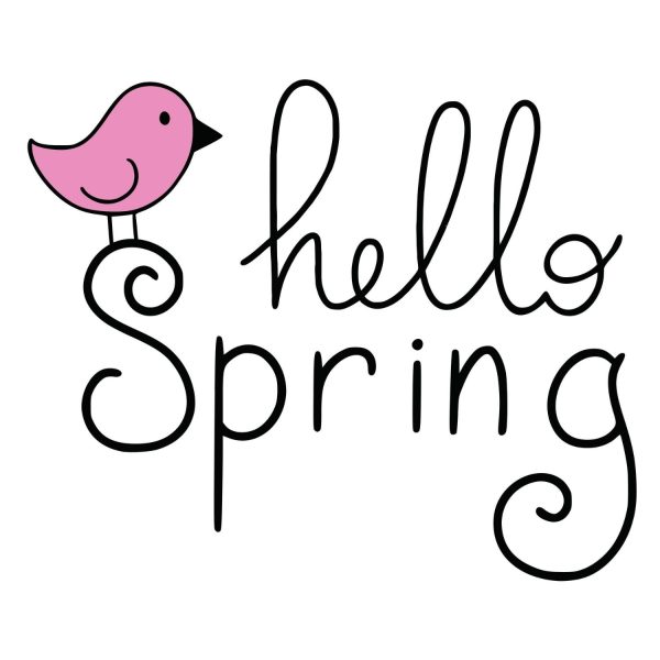 Hello Spring With Bird SVG, PNG, JPG, PDF Files